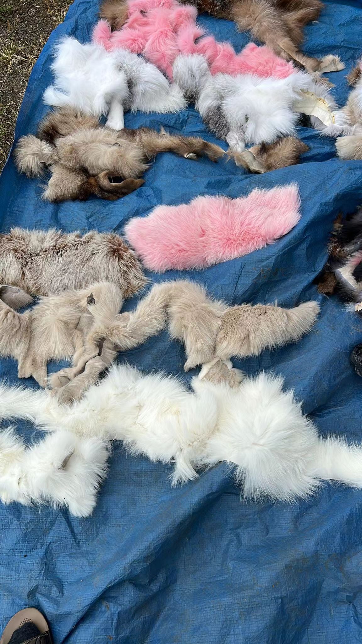 Fur clothing accessories, decorations, clothing linings